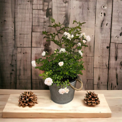 Alluring Pot/Planter with Happy Mother&