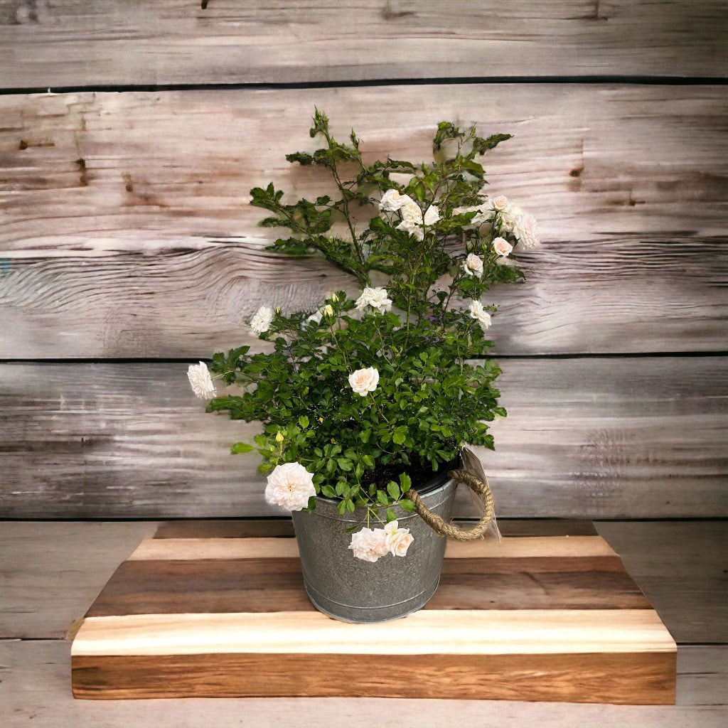 Alluring Pot/Planter with Happy Mother&