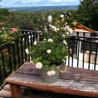 Stylish garden planter ideal for patio and balcony décor