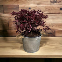 Premium quality galvanized plant pot with smooth finish