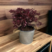 Durable metal flower pot planter for outdoor landscaping