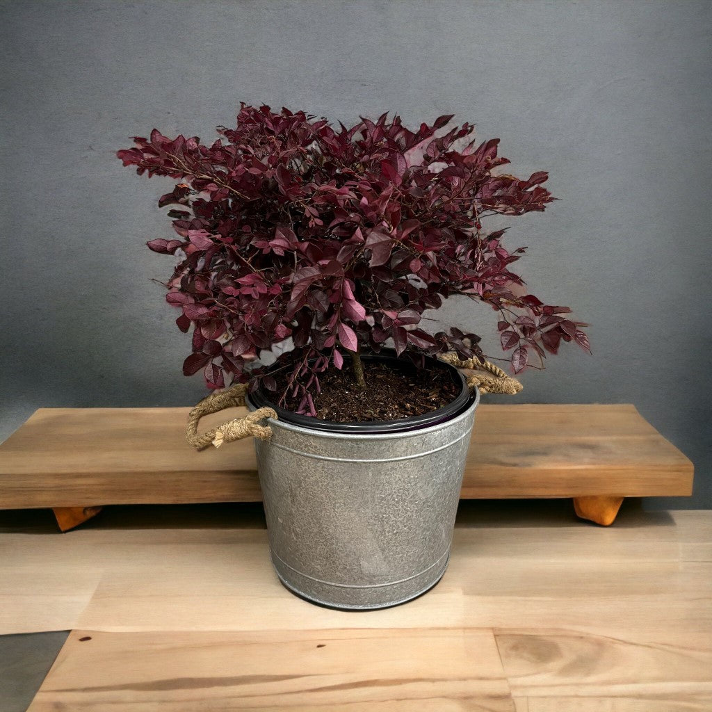 Alluring Pot/Planter with Happy Mother&