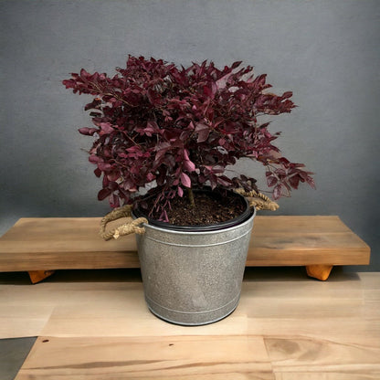 Alluring Pot/Planter with Happy Mother&