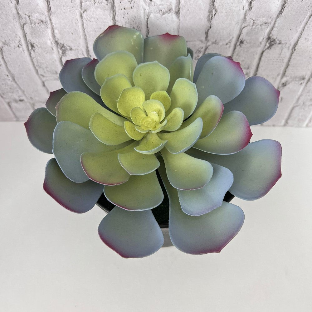 Gorgeous Echeveria in Color of Your Choice - Artificial