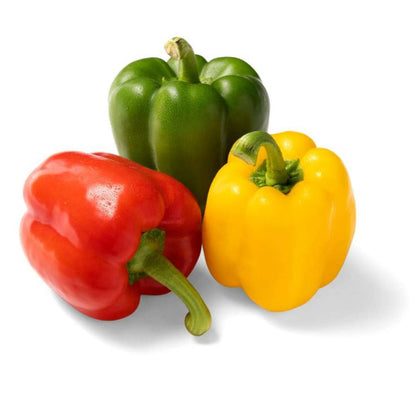 Bell Pepper Plant