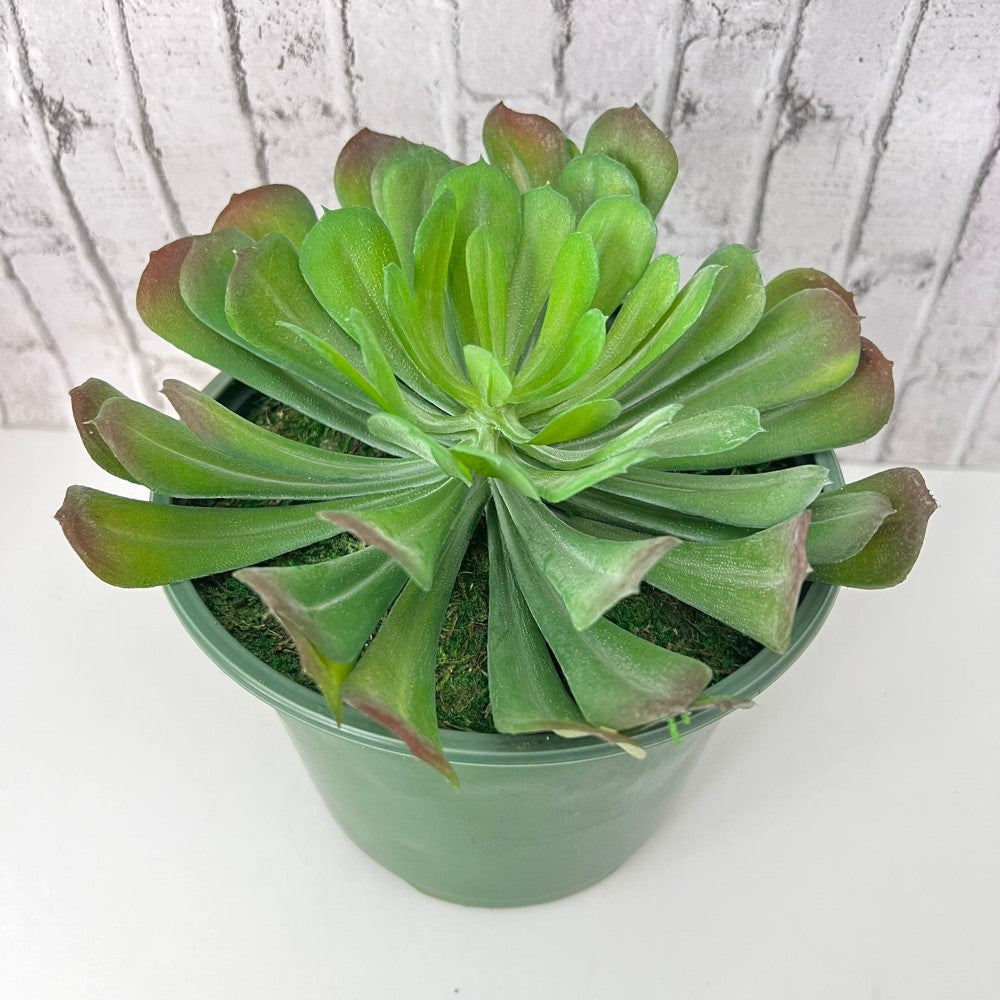 Cute Tree Houseleek Succulent in Plastic Pot - Artificial