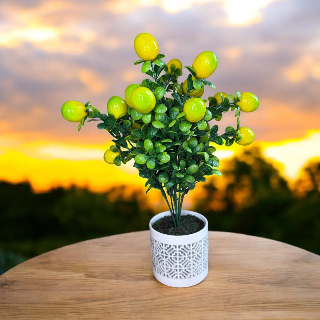 Artificial Lemon Bonsai  (Good Gift)