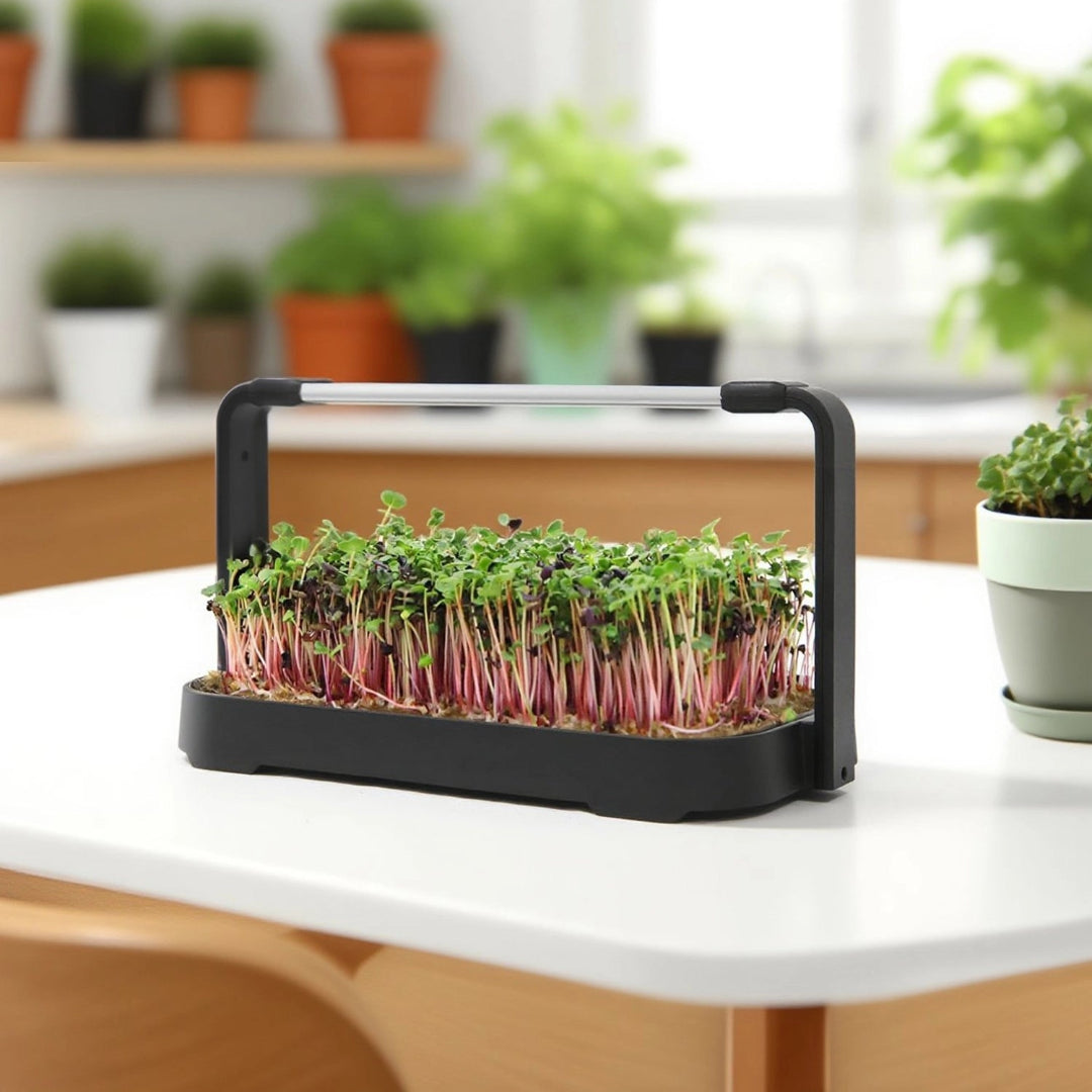 LED Microgreen Grow Kit – Indoor Smart Garden with Full Spectrum Grow Light