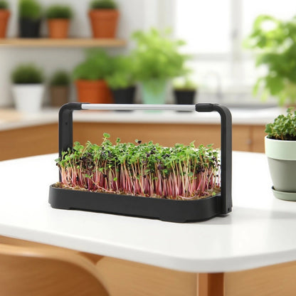 LED Microgreen Grow Kit – Indoor Smart Garden with Full Spectrum Grow Light