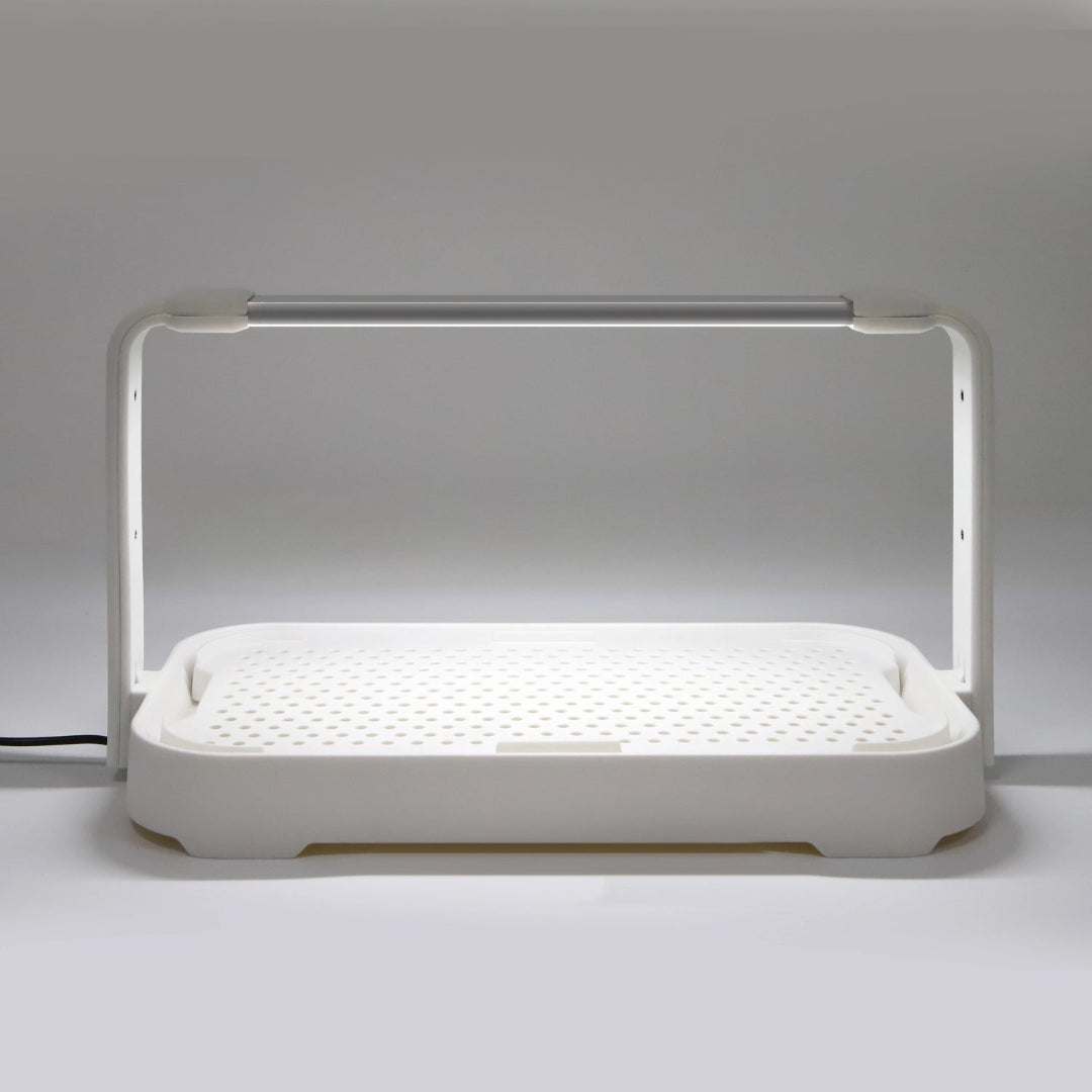 LED Microgreen Grow Kit – Indoor Smart Garden with Full Spectrum Grow Light