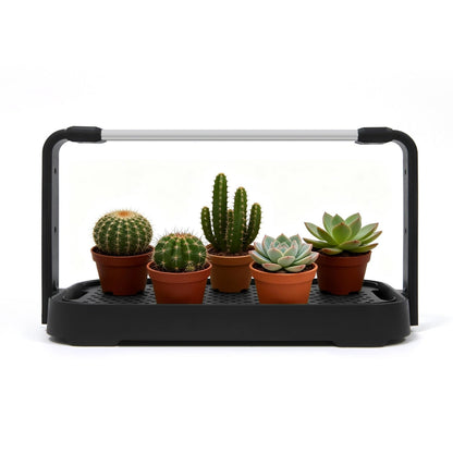 LED Microgreen Grow Kit – Indoor Smart Garden with Full Spectrum Grow Light