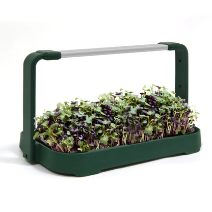 LED Microgreen Grow Kit – Indoor Smart Garden with Full Spectrum Grow Light