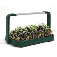LED Microgreen Grow Kit – Indoor Smart Garden with Full Spectrum Grow Light