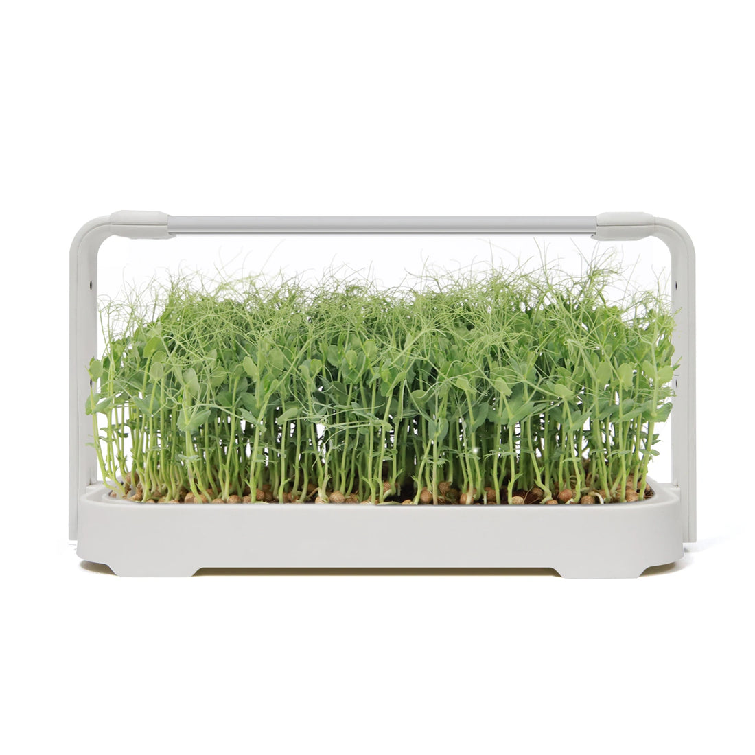 LED Microgreen Grow Kit – Indoor Smart Garden with Full Spectrum Grow Light