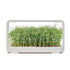 LED microgreen grow kit with full spectrum grow light for indoor smart gardening