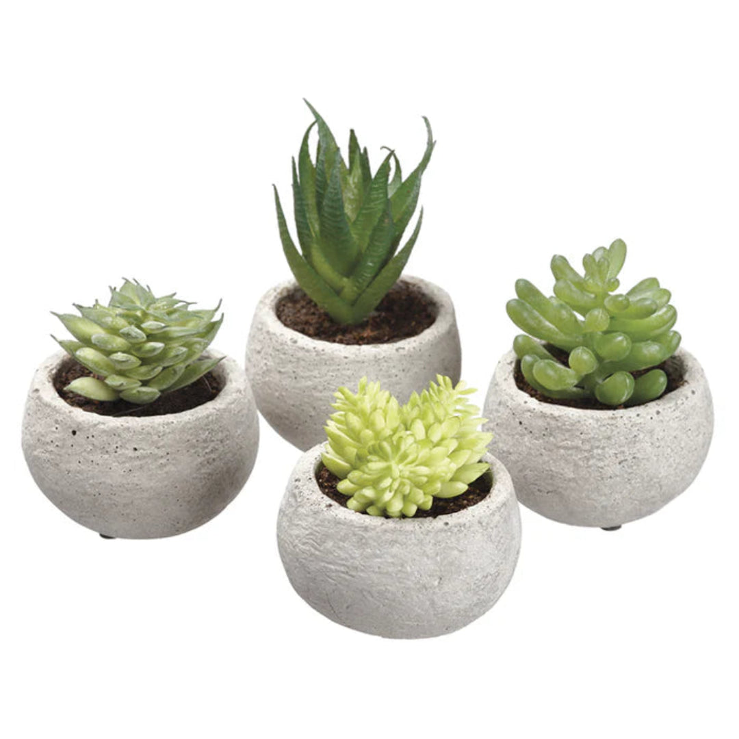 Artificial Plant : Green Potted Succulent Set of 3