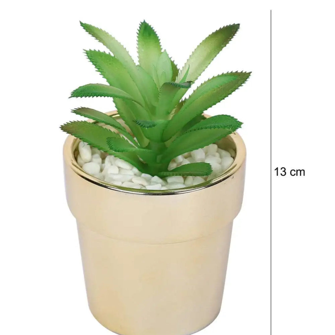 Artificial : Gorgeous Succulent in Ceramic Pot