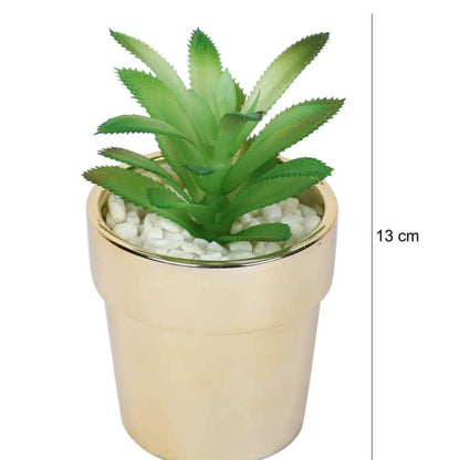 Artificial : Gorgeous Succulent in Ceramic Pot