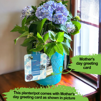 Alluring Pot/Planter with Happy Mother&