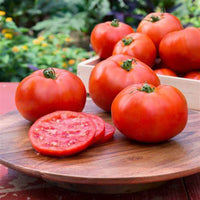 Better Boy tomato plant with healthy green leaves growing in garden soil