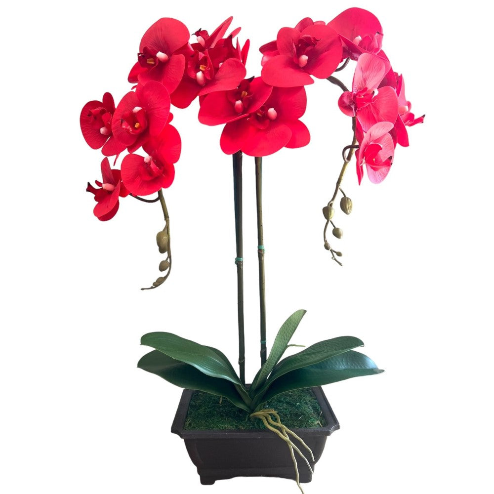 Exquisite Red Orchid in Rectangular Planter - Artificial (Great Valentine Gift)