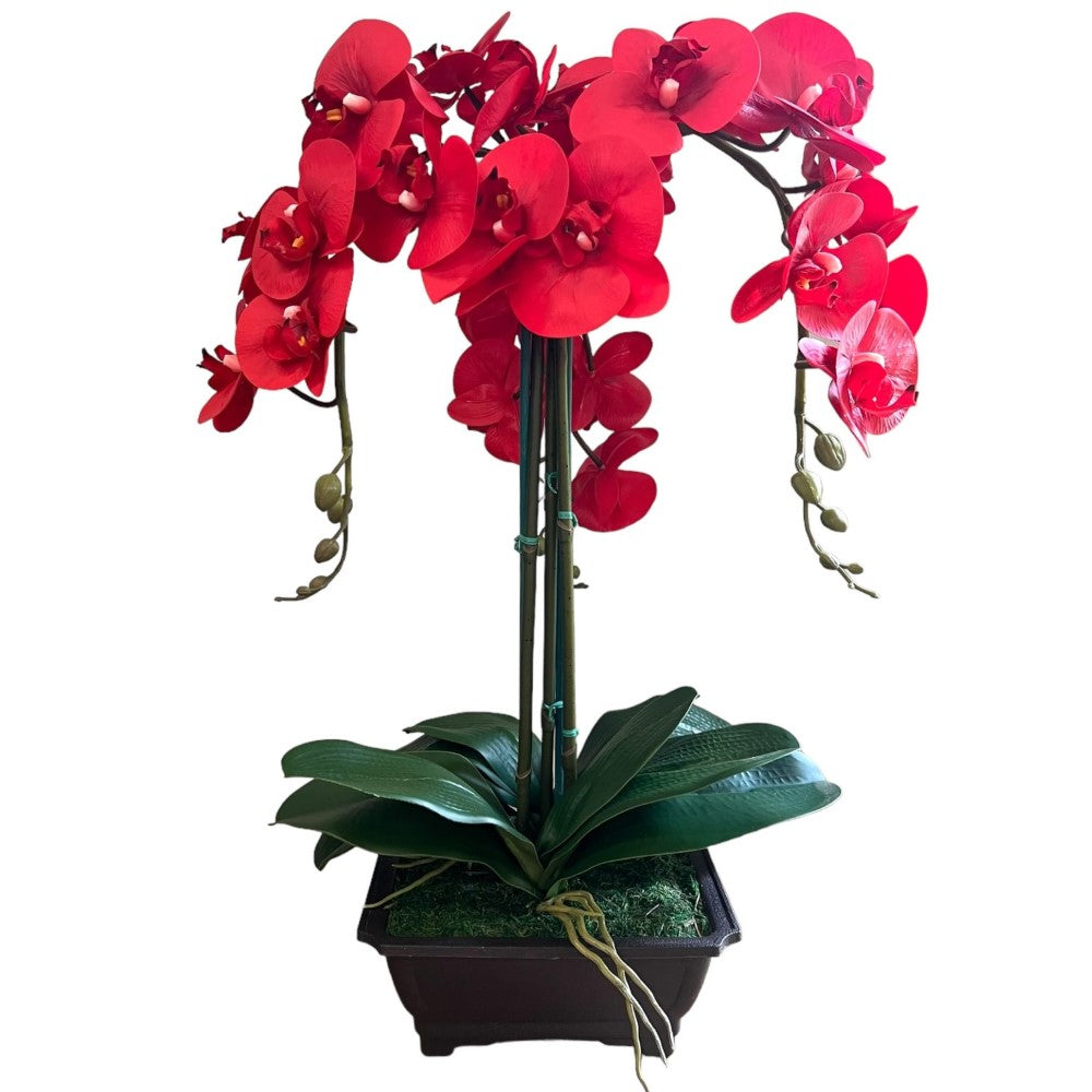 Exquisite Red Orchid in Rectangular Planter - Artificial (Great Valentine Gift)