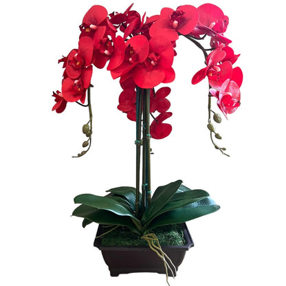 Exquisite Red Orchid in Rectangular Planter - Artificial (Great Valentine Gift)