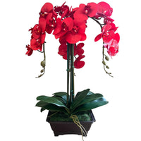 Exquisite Red Orchid in Rectangular Planter - Artificial (Great Valentine Gift)