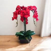 Exquisite Red Orchid in Rectangular Planter - Artificial (Great Valentine Gift)