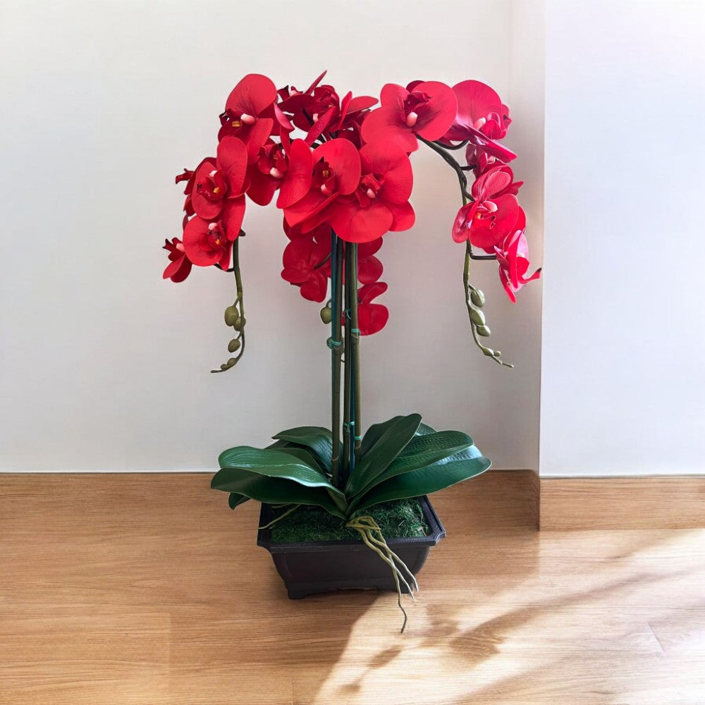 Exquisite Red Orchid in Rectangular Planter - Artificial (Great Valentine Gift)