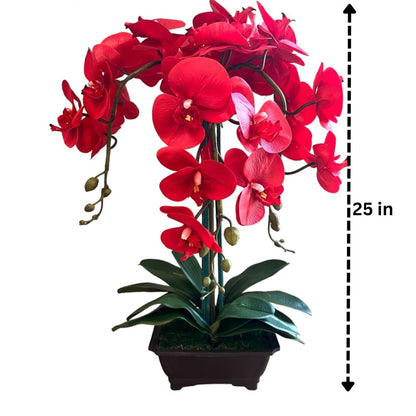 Exquisite Red Orchid in Rectangular Planter - Artificial (Great Valentine Gift)
