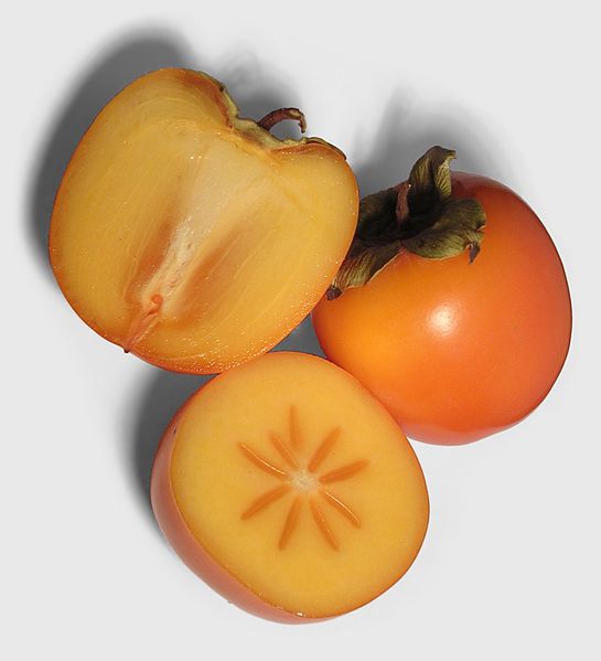 American Persimmon ( Spring Pre-Order )