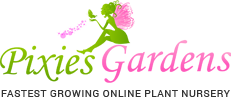 Pixies Gardens