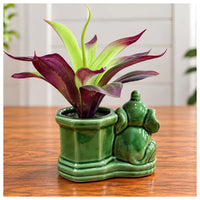 Artificial Purple and Green Bromeliad Plant in Decorative Elephant Ceramic Planter (Good Gift)