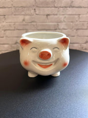 Cute Porky Ceramic Planter