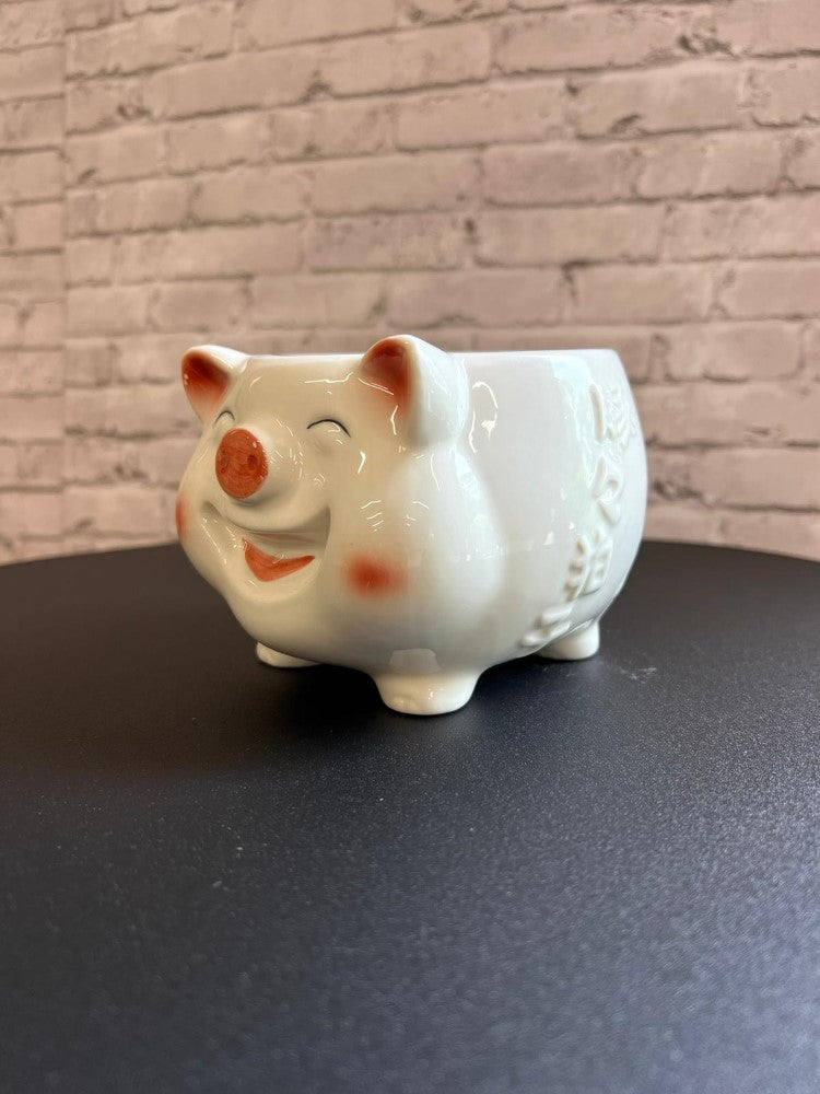Cute Porky Ceramic Planter
