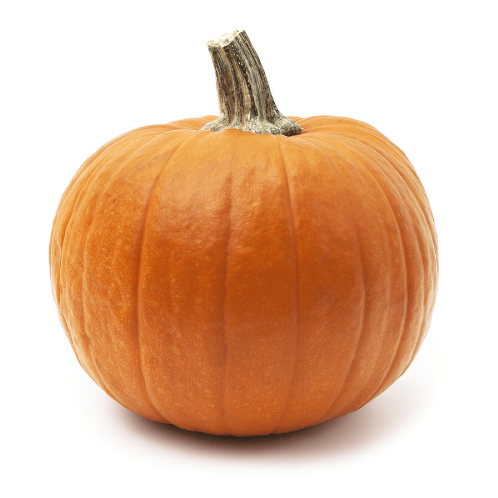 Specialty Pumpkin