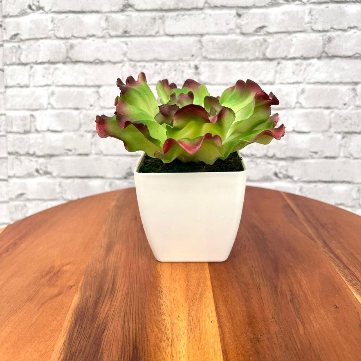 Gorgeous Artificial Plant in Plastic Pot -Good Gift
