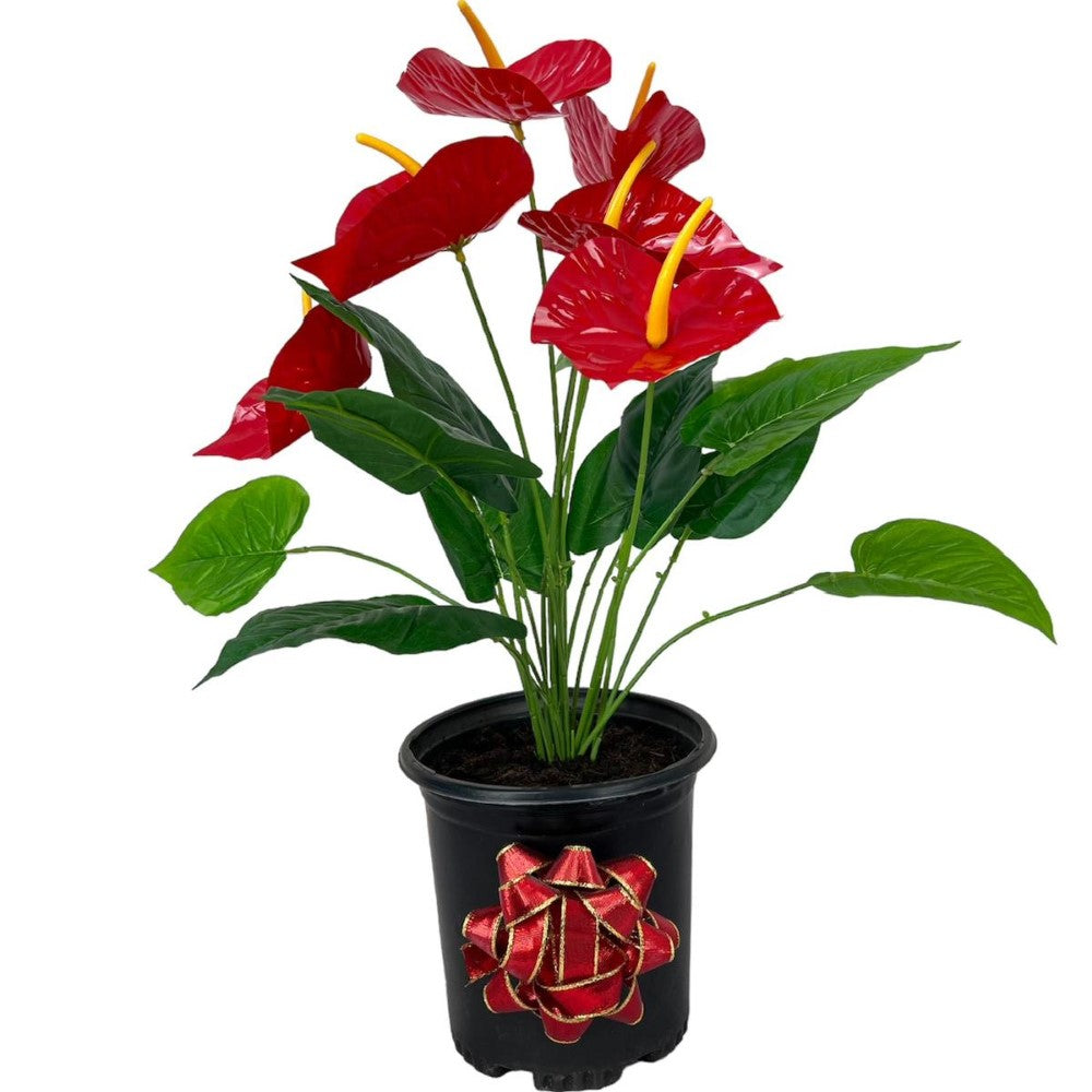 Gorgeous Artificial Anthurium Plant