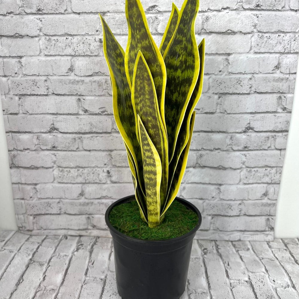 Beautiful Potted Snake Plant-Artificial