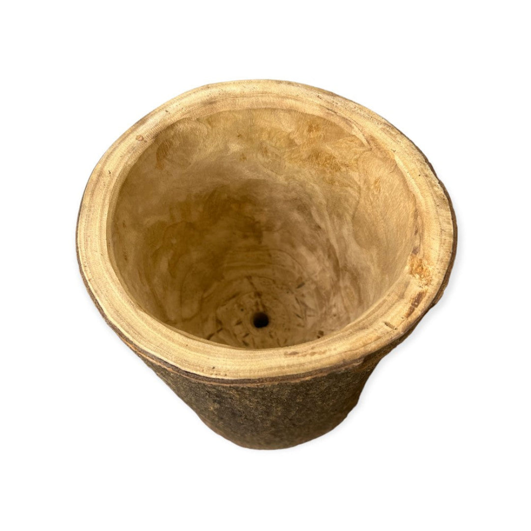 log plant pot Buy Stunning Wooden Log Planter Plants & Trees Online