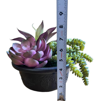 Artificial Gorgeous Succulent Plant in Plastic Pot