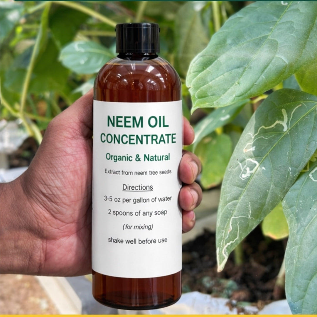 Neem Oil Organic, Excellent Organic Pesticide &amp; Fungicide(Concentrate)