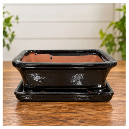 8" Professional Bonsai Planter with Matching Saucer