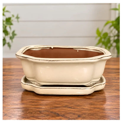 8" Professional Bonsai Planter with Matching Saucer