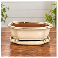8" Professional Bonsai Planter with Matching Saucer