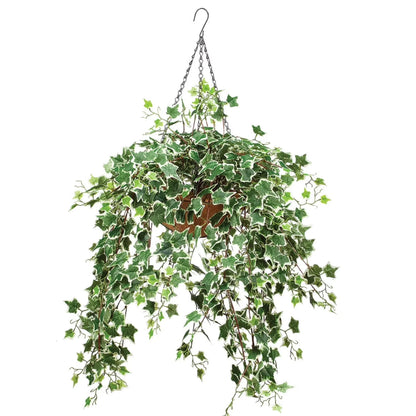 Variegated Ivy Hanging Basket