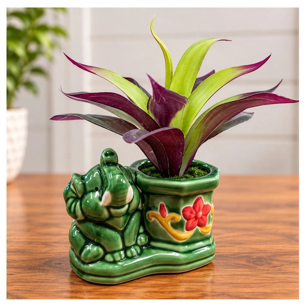 Artificial Purple and Green Bromeliad Plant in Decorative Elephant Ceramic Planter (Good Gift)