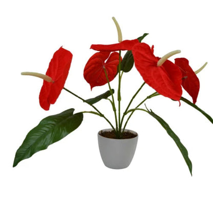 Artificial Red Anthurium Plant in Ceramic Pot