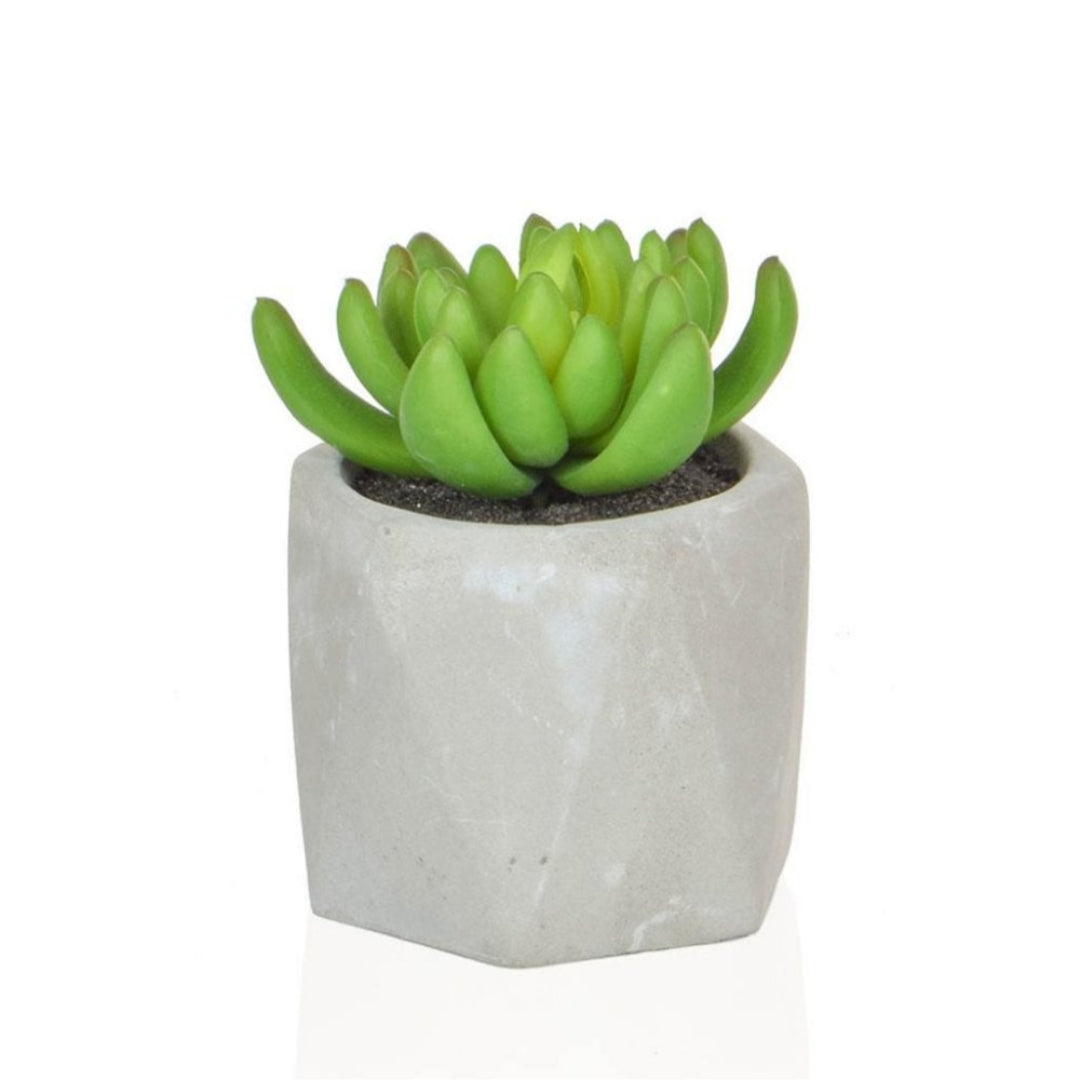 Artificial Plant : Green Potted Succulent Set of 3